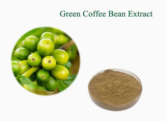 Farmaceutische producten Gezondheidszorg Groene koffieboon extract CAS NO 327-97-9 Puur natuurlijk poeder