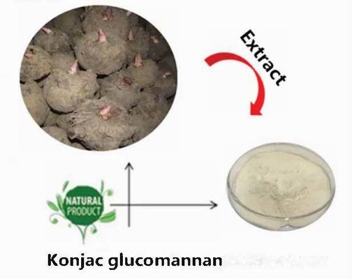 Natuurlijk Konjac Glucomannan Poeder CAS NO 37220-17-0 Reinheid Konjac Root Extract Poeder