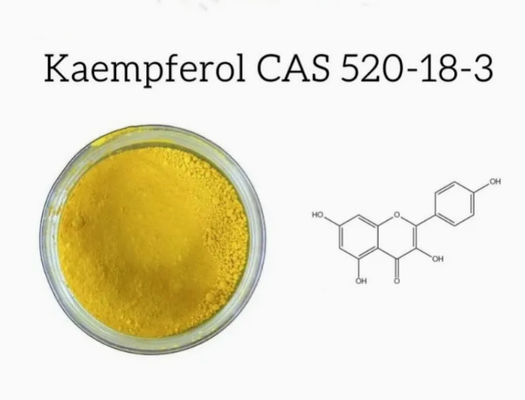 Gezondheidszorgsupplement Kaempferol poeder Galanga extract Cas nr. 520-18-3 Pure Natura