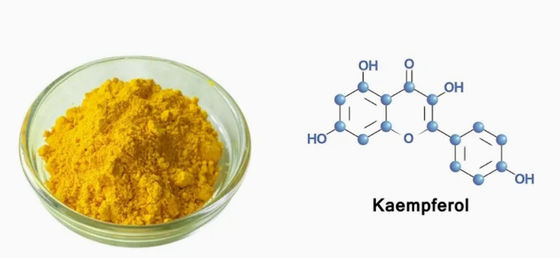 Gezondheidszorgsupplement Kaempferol poeder Galanga extract Cas nr. 520-18-3 Pure Natura