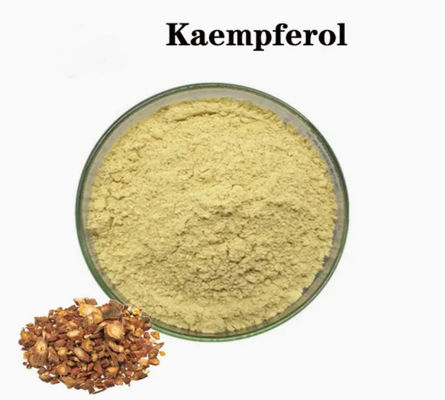 Gezondheidszorgsupplement Kaempferol poeder Galanga extract Cas nr. 520-18-3 Pure Natura
