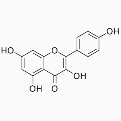 Gezondheidszorgsupplement Kaempferol poeder Galanga extract Cas nr. 520-18-3 Pure Natura