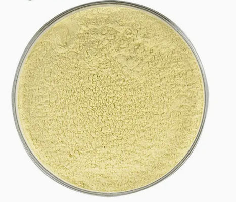 Gezondheidszorgsupplement Kaempferol poeder Galanga extract Cas nr. 520-18-3 Pure Natura