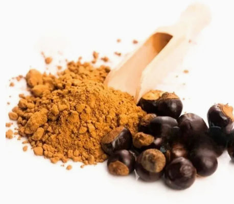 Gezondheidssupplement Paullinia Cupana-extract Cas nr. 84929-28-2 Guarana-zaadextracten