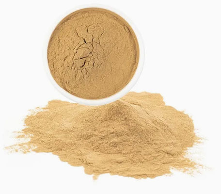 Gezondheidssupplement Paullinia Cupana-extract Cas nr. 84929-28-2 Guarana-zaadextracten