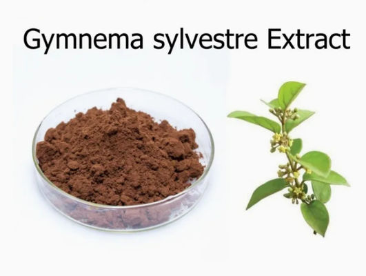 Plantenextract Gymnema Sylvestre Extract CAS NO 90045-47-9 Wortel- of kruidenextractpoeder