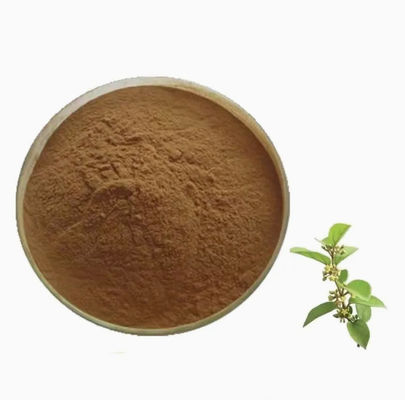 Plantenextract Gymnema Sylvestre Extract CAS NO 90045-47-9 Wortel- of kruidenextractpoeder