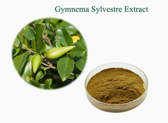 Plantenextract Gymnema Sylvestre Extract CAS NO 90045-47-9 Wortel- of kruidenextractpoeder