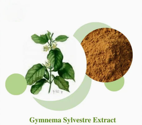 Plantenextract Gymnema Sylvestre Extract CAS NO 90045-47-9 Wortel- of kruidenextractpoeder