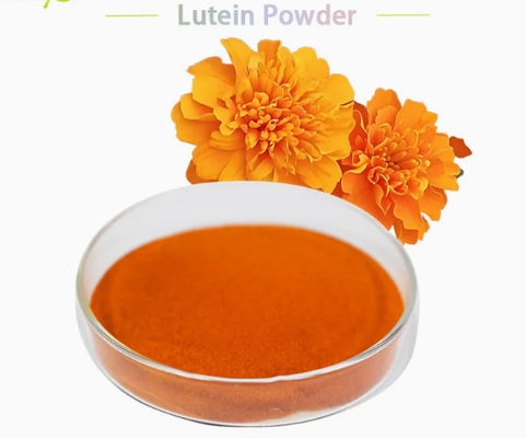 Natuurlijke Luteïne 5% 20% Poeder CAS-nummer 127-40-2 Dierlijk Natuurlijk Voeder Pigment Poeder