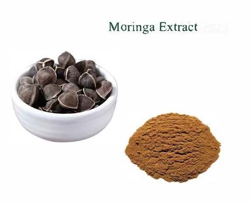 Natuurlijke plant Moringa Extract 10/1 CAS NO 93165-54-9 Moringa Oleifera poeder