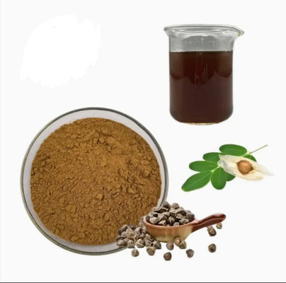 Natuurlijke plant Moringa Extract 10/1 CAS NO 93165-54-9 Moringa Oleifera poeder