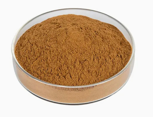 Natuurlijke plant Moringa Extract 10/1 CAS NO 93165-54-9 Moringa Oleifera poeder