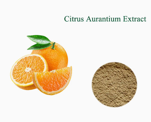 Synefrine Citrus Aurantium Extract Bitter Oranje Extract CAS NR 13241-33-3 Schil Poeder
