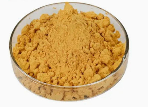 Synefrine Citrus Aurantium Extract Bitter Oranje Extract CAS NR 13241-33-3 Schil Poeder