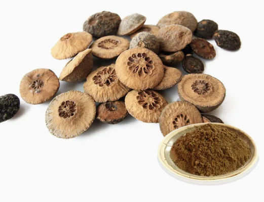 Synefrine Citrus Aurantium Extract Bitter Oranje Extract CAS NR 13241-33-3 Schil Poeder