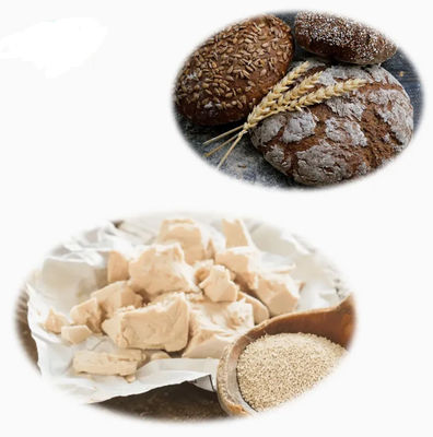 ISO Gecertificeerd 100% Natuurlijk Gistextract CAS NR 8013-01-2 Smaakstoffen Versterkers