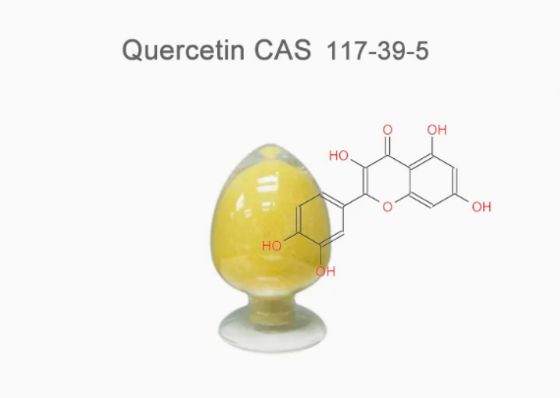 Plantenextract Farmaceutische kwaliteit Quercetine watervrij CAS NO 117-39-5 Geel poeder