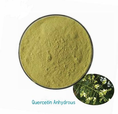 Plantenextract Farmaceutische kwaliteit Quercetine watervrij CAS NO 117-39-5 Geel poeder