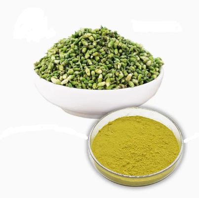 Plantenextract Farmaceutische kwaliteit Quercetine watervrij CAS NO 117-39-5 Geel poeder